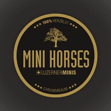LogoMiniHorses_radial